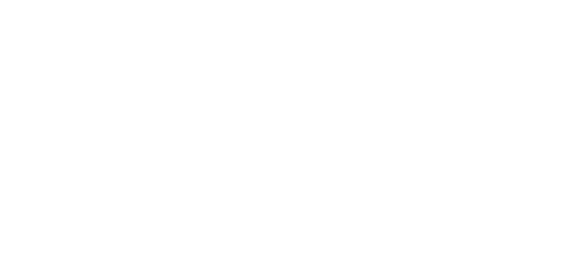 Check Inject Logo